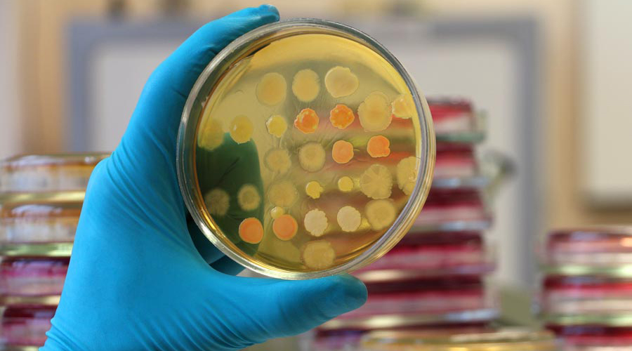Des patients soignés par des phages à Lyon