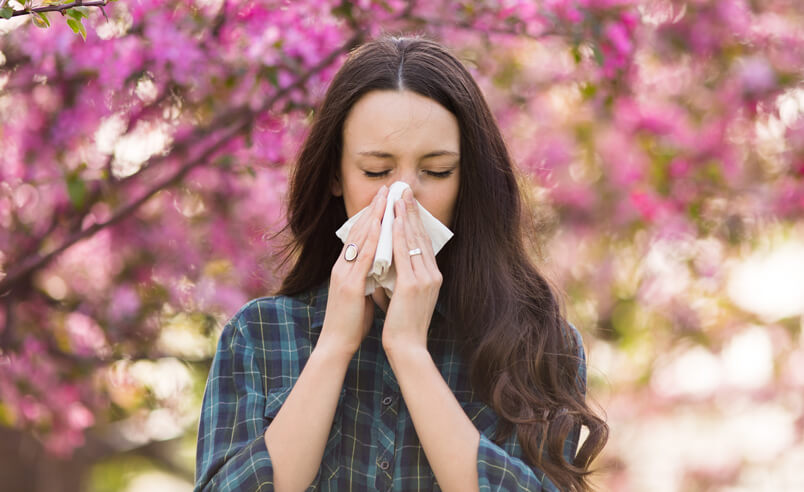 Tout ce qu’il faut savoir sur l’allergie aux pollens