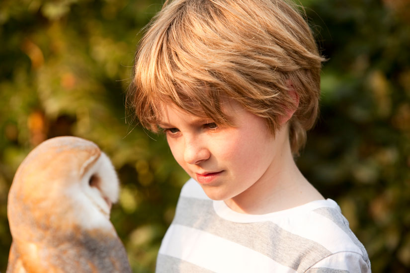 Des chouettes pour apaiser les enfants hospitalisés