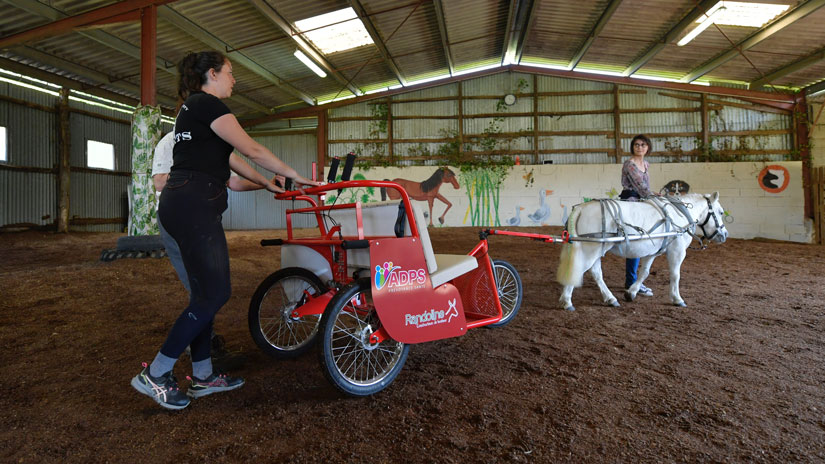 L’équicie : en selle pour le mieux-être !