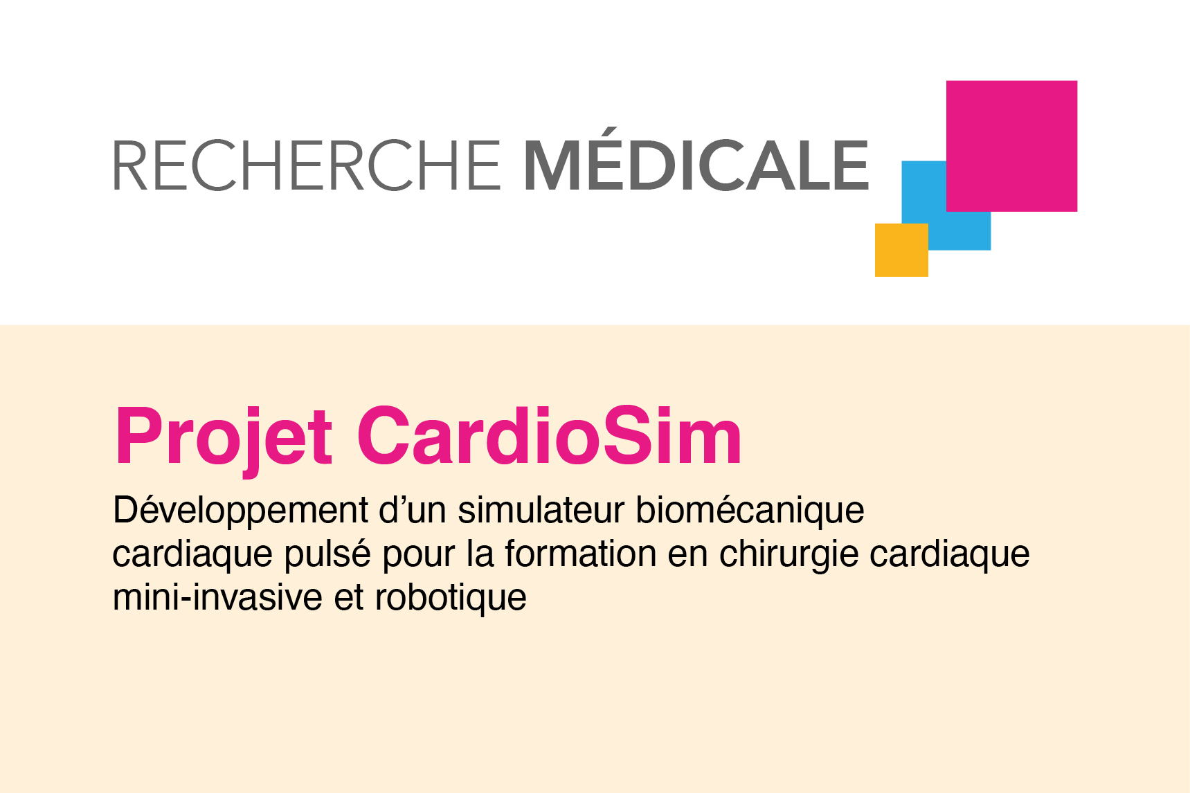 Projets CardioSim : la simulation pour former les chirurgiens cardiaques de demain
